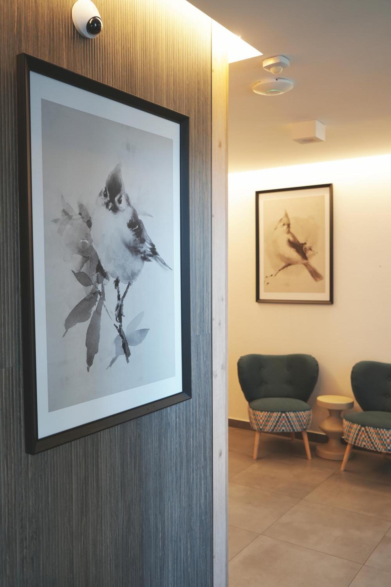 Villa Monica Apartamenty Szczyrk Eksteriør billede